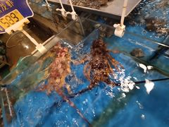 -渔公码头海货全海鲜自助(海滨旅游路店)
