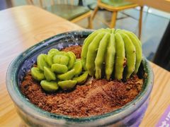 斑斓多肉-鲜芋仙MeetFresh(万达店)