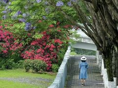 -重庆彩云湖湿地公园
