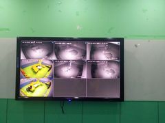 -小问号·科学启蒙·逻辑思维·阅读素养·口才演讲(杨浦合生汇中心)