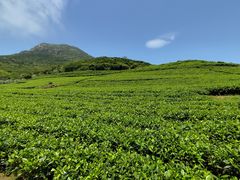 -嵛山岛