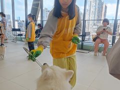 -怪兽屋·羊驼·猫咖·狗咖(俊华广场店)