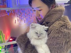 -极木²邸 人与宠物·互动社区
