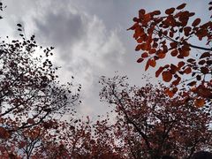 -周口店坡峰岭风景区