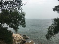 -南丫岛