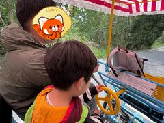 -盐城丹顶鹤湿地生态旅游区