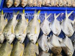 -都市阳光海鲜城(青山湖店)