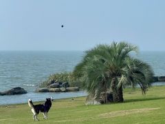 -苏州湾体育公园