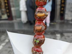 -糖葫芦王保定名吃(古莲花池店)