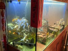 -逸栈养生SPA(望京店)