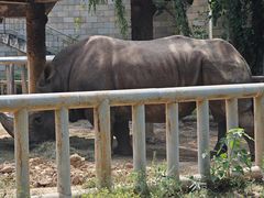 -石家庄市动物园