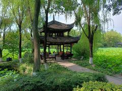 -桂湖森林公园
