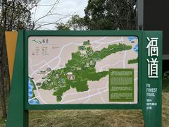 -福道