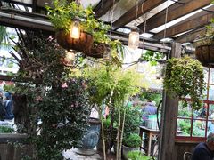 -The Grounds of Alexandria