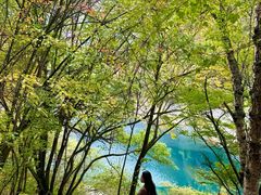 -叠溪松坪沟景区