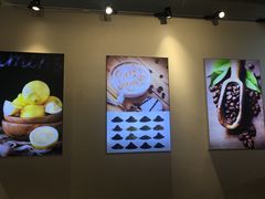-CoCo都可(360丰产店)