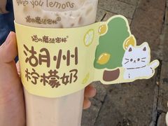柠檬奶-猫的魔法密林(衣裳街店)