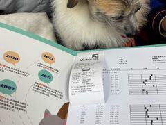 -申普宠物医院·心脏介入·心血管微创(总院)