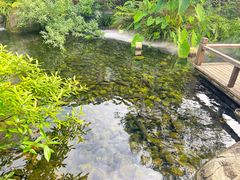 -凤凰山斑鱼馆(恭城店)