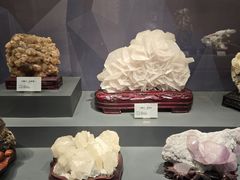 -湖南省地质博物馆