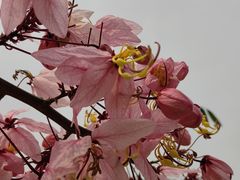 -白石龙音乐公园