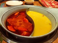 -青瓷火锅料理(西单大悦城店)