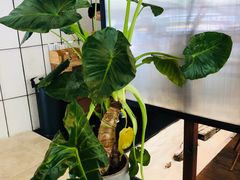 -VESH COFFEE(定西路店)