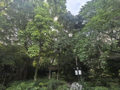 -福建博物院