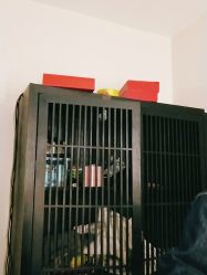 -盘子女人坊古装写真摄影(天津总店)