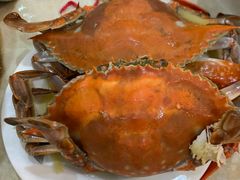 -春华海鲜城(广场西苑店)