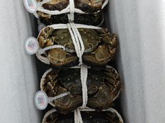 -阳澄湖大闸蟹·琼灵阁牌品牌连锁(吴中总店)