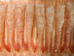 -酉泽屋刺身三文鱼寿司主题餐厅(望馨商业中心店)