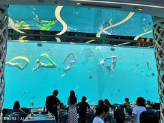 -瑞德姆美人鱼海底演艺主题餐厅(亚龙湾店)