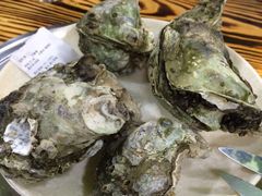 -大富蚝乌东哥饭店·石锅鱼杂·柠檬鸭(革新路店)