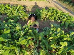 -前小桔亲子创意农场·草莓采摘·露营烧烤