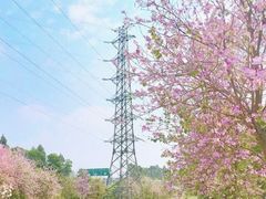 -广州中山纪念堂