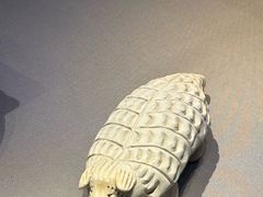-荆州博物馆