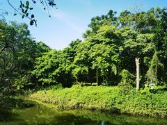 -白沙门生态公园