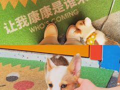 景观位-嗨皮儿·现蒸面皮(抄纸巷店)