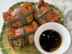 -蟹天蟹地农家菜·阳澄湖大闸蟹(浅水湾店)