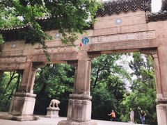 -灵谷景区