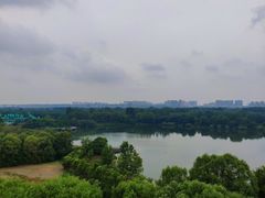 -西安浐灞国家湿地公园