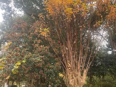 -新荣记(西溪湿地店)