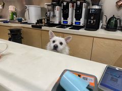 -悟白咖啡WoobyCafe