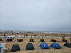 -日照海滨国家森林公园