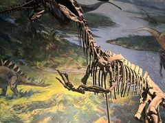 -自贡恐龙博物馆