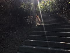 -飞凤山奥体公园