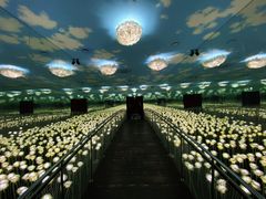 -爱来魔相4D艺术馆(济州中文馆)