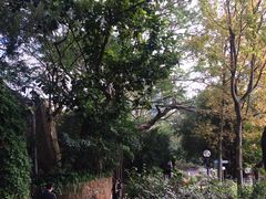 -九龙公园