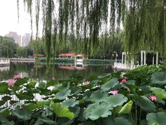 -丰台花园